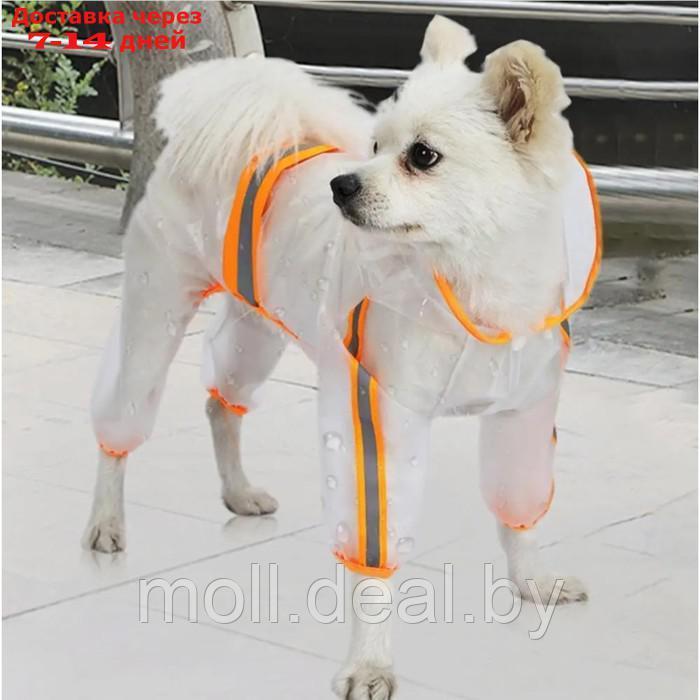 Дождевик-комбинезон для собак, р-р S (ДС 25, ОГ 37 см, вес 3-5 кг), прозрачный-оранжевый - фото 1 - id-p220460552