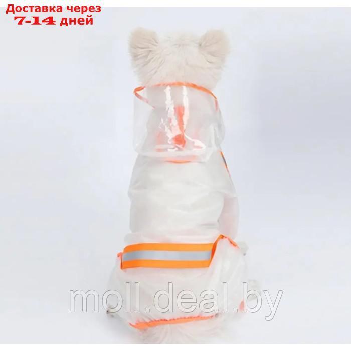 Дождевик-комбинезон для собак, р-р S (ДС 25, ОГ 37 см, вес 3-5 кг), прозрачный-оранжевый - фото 3 - id-p220460552