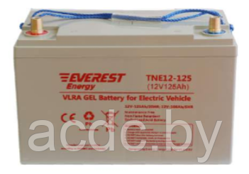 Аккумулятор 12V тяговый 100Ah GEL Everest TNE 12-125 - фото 1 - id-p220482074