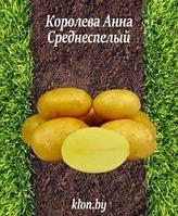 Картофель семенной Королева Анна 2репродукция