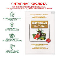 Янтарная кислота 2г