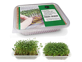 Набор для выращивания микрозелени + семена Руколы и Брокколи