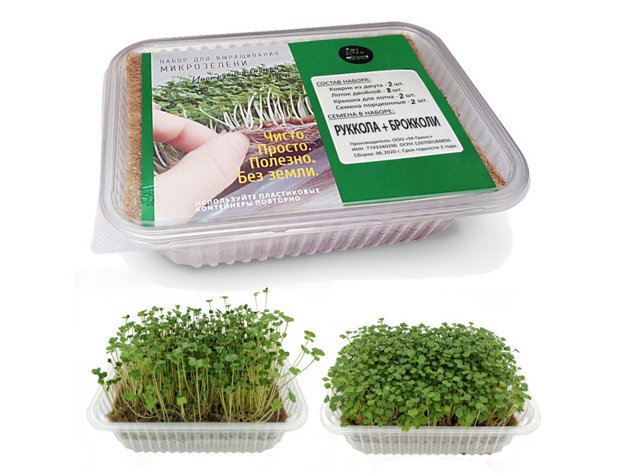 Набор для выращивания микрозелени + семена Руколы и Брокколи - фото 1 - id-p80985551