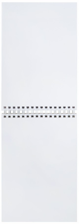 Скетчбук-блокнот на гребне Brauberg Art (А5) 140*201 мм, 60 л., «Котик»