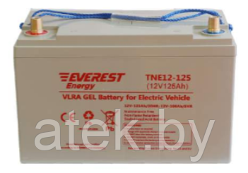 Аккумулятор 12V тяговый 100Ah GEL Everest TNE 12-125 - фото 1 - id-p220532614