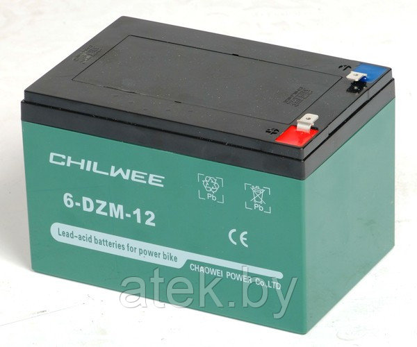 Аккумулятор 12V тяговый 6-DZM-12 (6-DZF-12) GEL CHILWEE 12Ah - фото 1 - id-p220532616