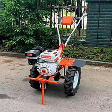 Мотоблок Profi Motors 190-P (16-P) без ВОМ, фото 2
