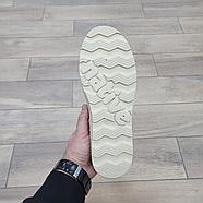 Ботинки Native Fitzsimmons 2.0 Citylite Beige, фото 5