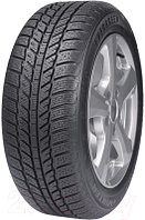 Зимняя шина Evergreen EW62 215/65R15 96H