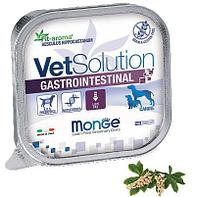 Monge VetSolution Gastrointestinal Adult dog, 150 гр