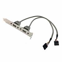Кабель Advantech '1700100170-ME (1700100170-S) Cable 2*5P-2.54/USB-A(F)*2 17.5cm W/BKT F/5/ Analog OEM