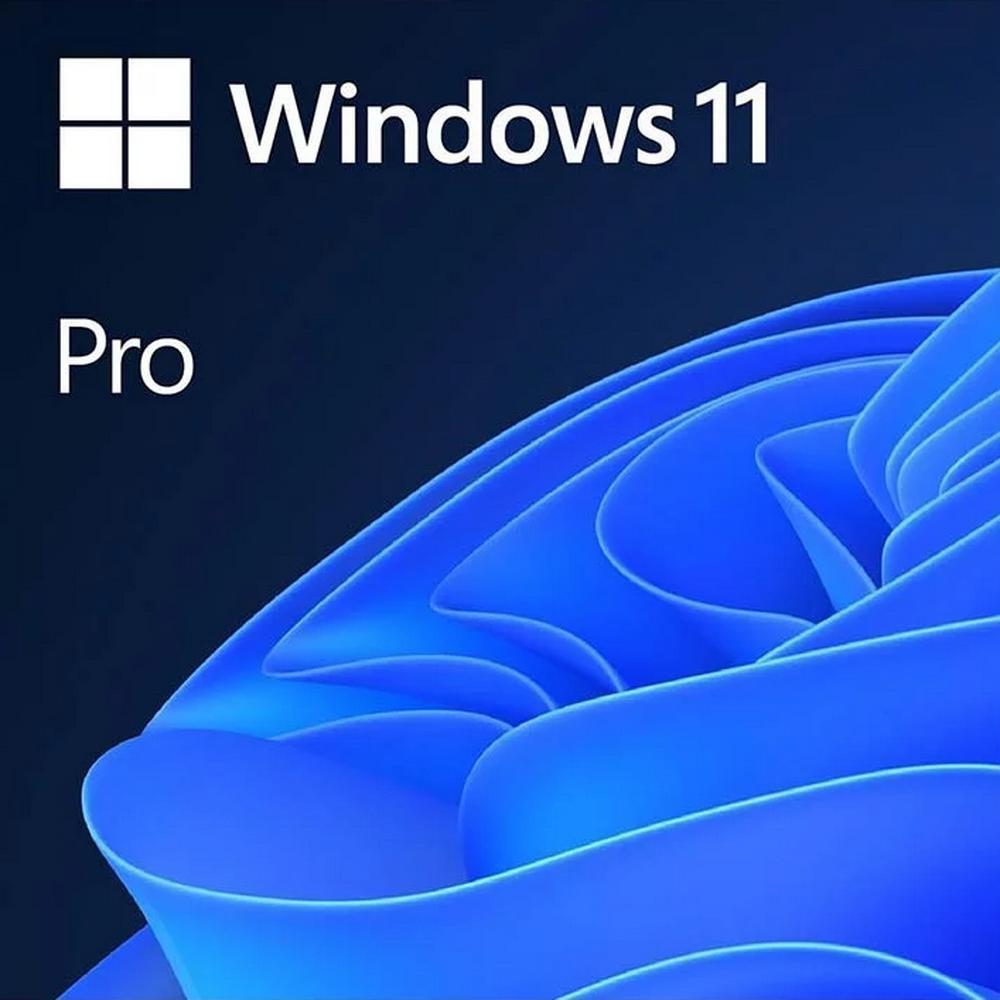 Программное обеспечение Microsoft Windows 11 Professional 64-bit ENG DVD OEM (Версия для сборщиков систем)