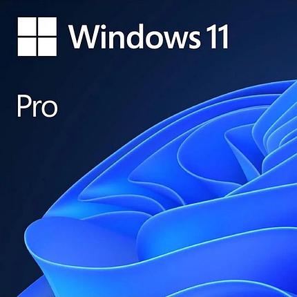 Программное обеспечение Microsoft Windows 11 Professional 64-bit ENG DVD OEM (Версия для сборщиков систем), фото 2