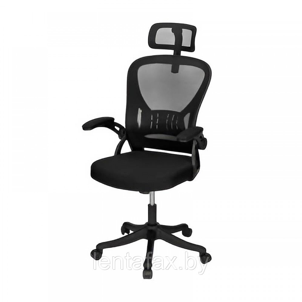 Кресло руководителя Deli E4505, ткань - сетка чёрная, цвет чёрный - фото 1 - id-p220607141