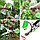 Степлер - подвязчик растений к опоре Tapetool (тапенер) Красный, фото 8