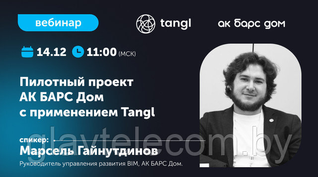 Тангл вебинар