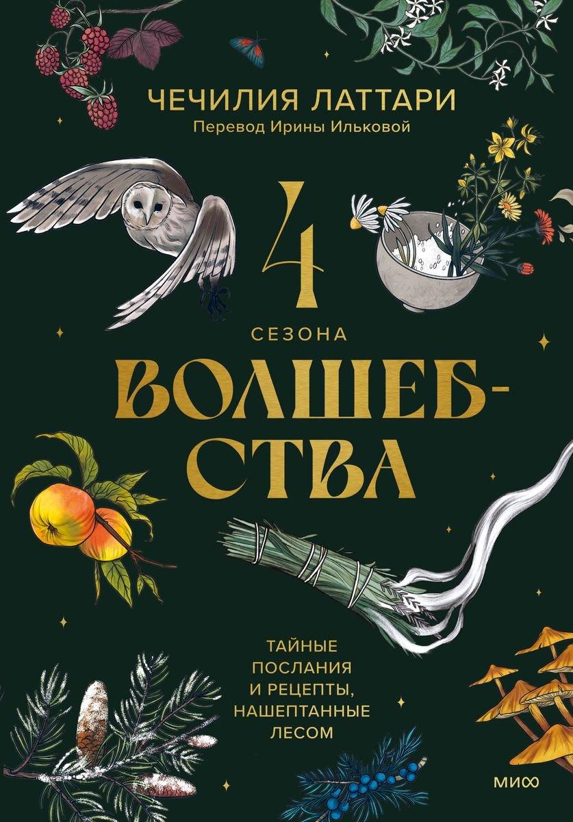 Книга 4 сезона волшебства. Тайные послания и рецепты, нашептанные лесом