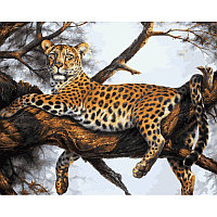 Живопись по номерам Белоснежка Леопард на отдыхе, 40х50 см, (на холсте)