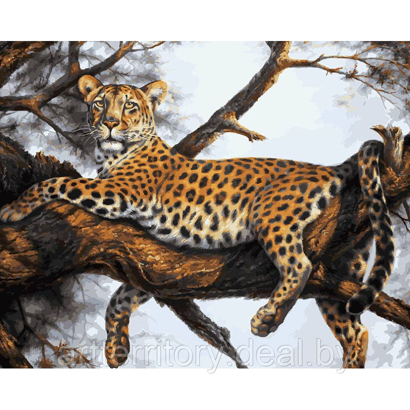 Живопись по номерам Белоснежка Леопард на отдыхе, 40х50 см, (на холсте) - фото 1 - id-p220618701
