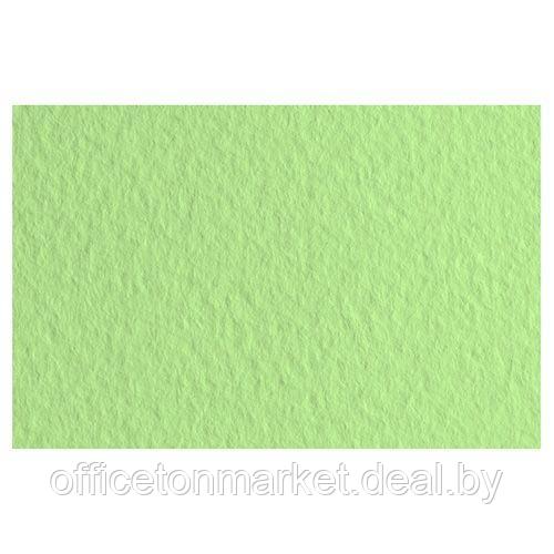 Бумага для пастели "Tiziano", 50x65 см, 160 г/м2, салатовый теплый - фото 1 - id-p220618452