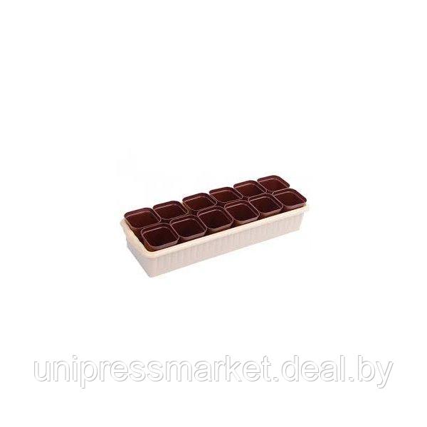 Рассадник "Дом и Дача" на 12 стаканчиков, шоколадный цвет,арт.10193025