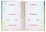 Ежедневник недатированный на гребне «Все успеваю» А6 105*145 мм, 48 л., «Тропический лес»