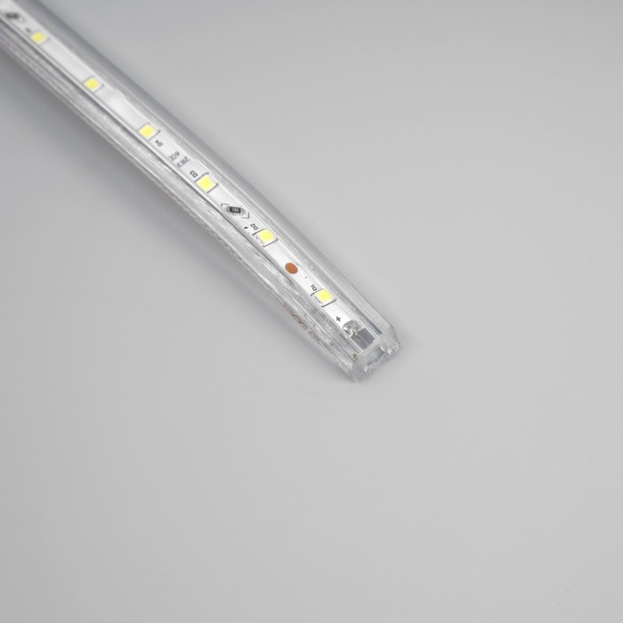 Светодиодная лента Ecola 12 × 7 мм, 10 м, IP68, SMD2835, 60 LED/м, 4.8 Вт/м, 220 В, 6000К - фото 4 - id-p220633719