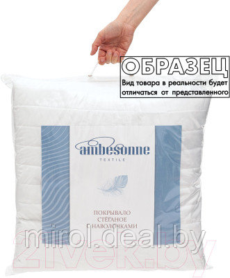 Набор текстиля для спальни Ambesonne Следуй за мечтой 160x220 / bcsl_26715 - фото 2 - id-p220634053