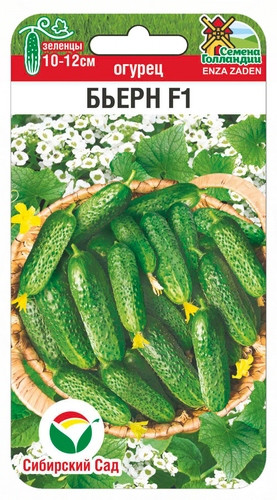 Огурец Бьерн F1