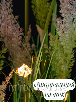 Искусственное растение Merry Bear Home Decor Микс трава-тростник / KA0971 - фото 4 - id-p220661736
