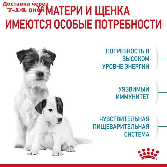 Сухой корм RC Mini Starter Mother & Babydog для щенков, 1 кг - фото 3 - id-p220628939