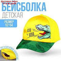 Кепка детская Roar Roar, рр 54 см