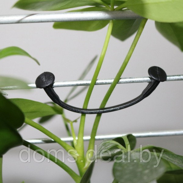 Крючки пластиковые для подвязки растений АГРО Мадана Крючок для подвязки - фото 1 - id-p220671183