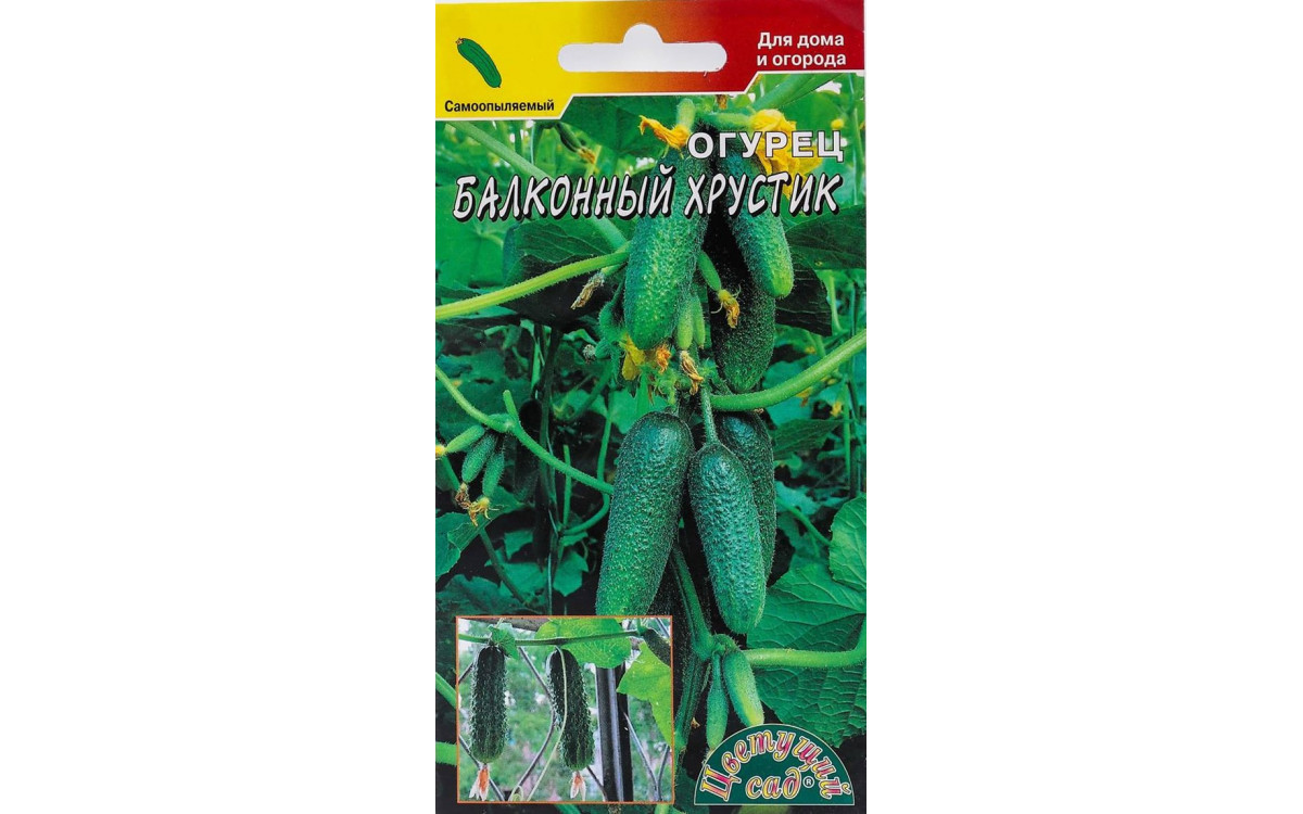 Огурец Балконный хрустик