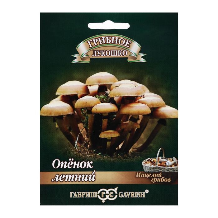 Мицелий грибов Опенок летний 12шт Гавриш - фото 1 - id-p220668219