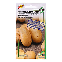 Картофель семена Импала 25шт Дом Семян