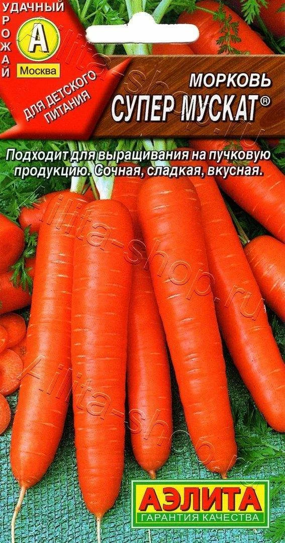 Морковь Супер Мускат 2г Аэлита - фото 1 - id-p144609408