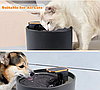 УЦЕНКА  Автоматическая поилка для кошек и собак Pet Water Dispenser 2118 (емкость 3 л), черная, фото 4