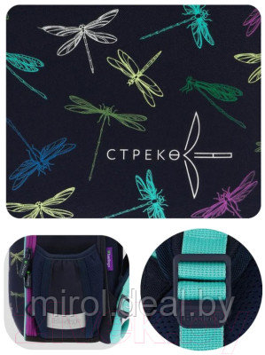 Школьный рюкзак Berlingo Expert Mini. Dragonfly / RU09046 - фото 2 - id-p220698675