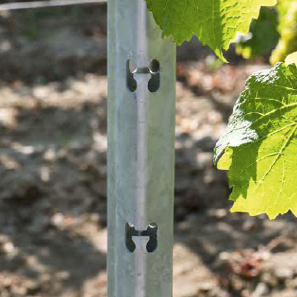Шпалерный столб под виноградные лозы,кусты,саженцы (зацеп) - фото 2 - id-p220700419