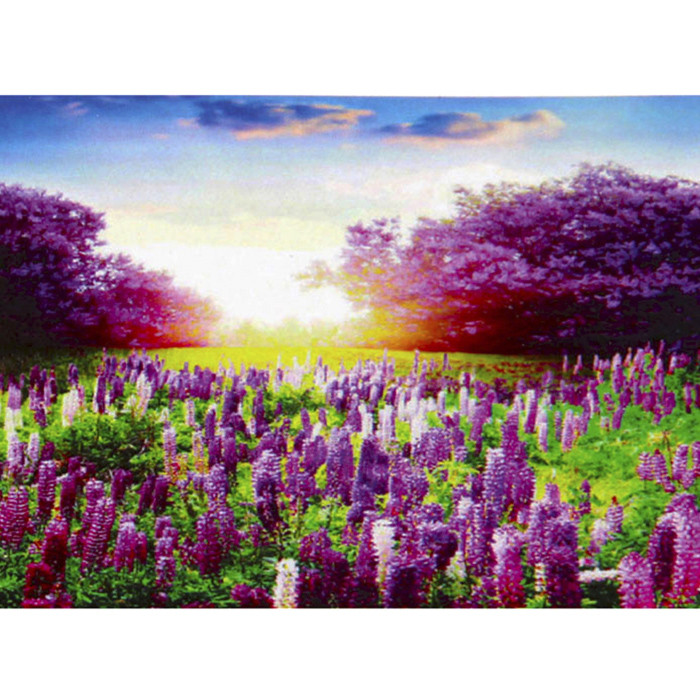 Алмазная живопись 40*50 см Цветочное поле DV-9518-2