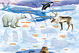 Многоразовые наклейки "Кто живет на полюсе", фото 3