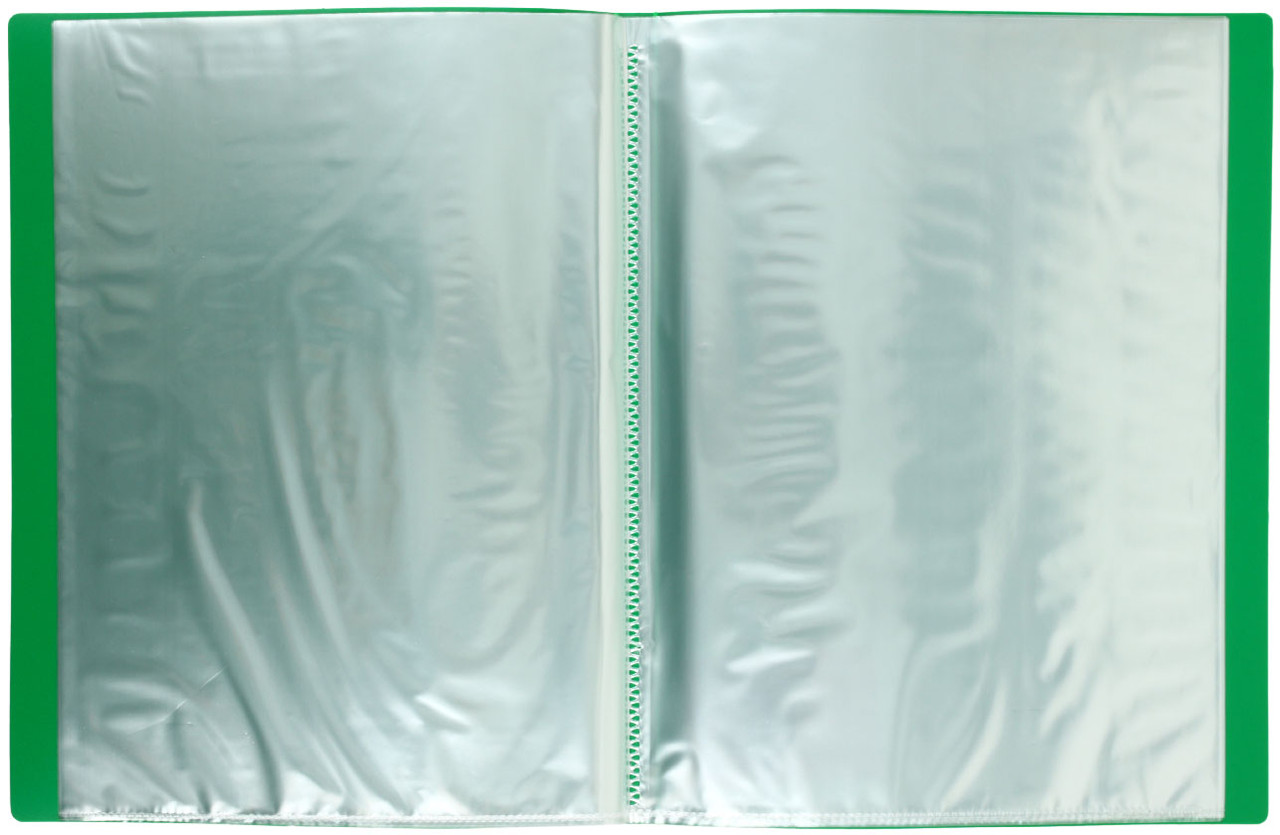 Папка пластиковая на 20 файлов «Стамм.» толщина пластика 0,5 мм, зеленая - фото 1 - id-p220734547