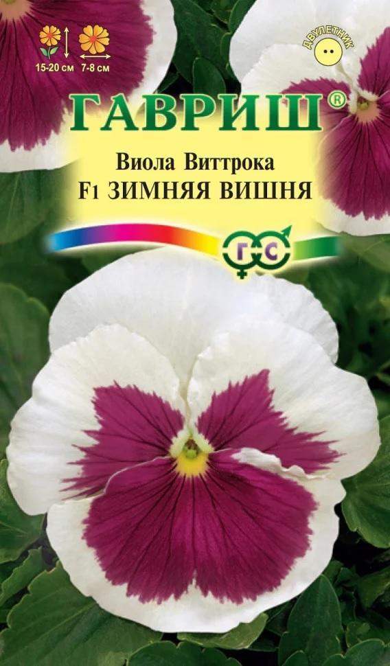 Виола Зимняя вишня F1 5шт Гавриш