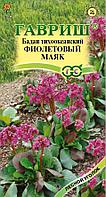 Бадан тихоокеанский Фиолетовый маяк 0,01г Гавриш