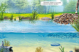 Многоразовые наклейки "Летом у реки", фото 2