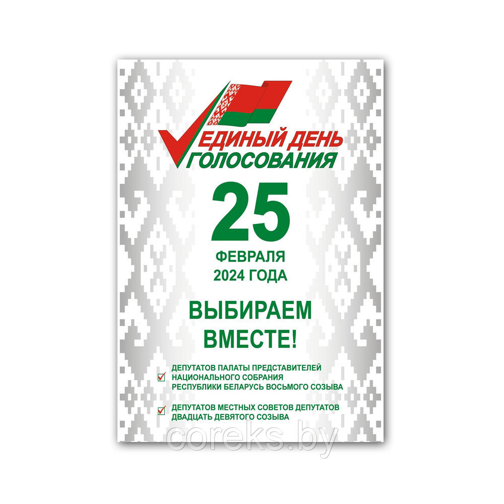 Плакат на выборы 25 февраля (размер А2)
