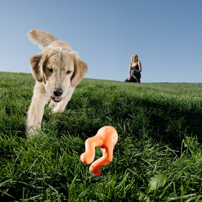 Перетяжка для собак Zogoflex Tizzi L, 16,5 см, оранжевая - фото 4 - id-p220751132
