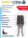 Интерактивный робот Стёпа, движения, танцы, считалочки, скороговорки, высота робота 23 см, фото 8