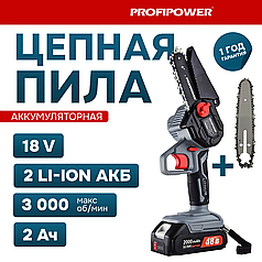 Пила цепная аккумуляторная ProfiPower MKGSD-18V (2 АКБ 2 А/ч, 2 шины и цепи 10 и 15 см) E0096